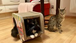 St��d�me se 😉