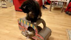 U�ijeme si ho i oba najednou👍