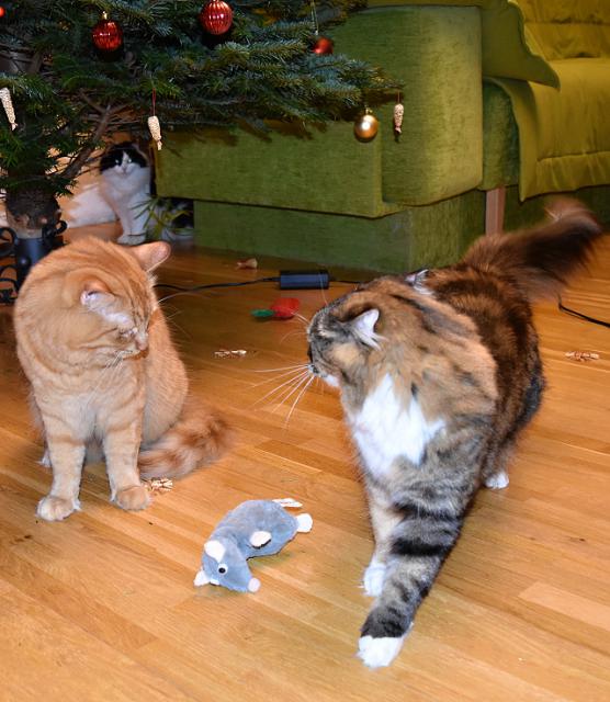 Jendo, my��ka jsem �vihla Kry�p�n�. S tebou se taky d�lit nebudu, koukej tam hodit zp�te�ku.