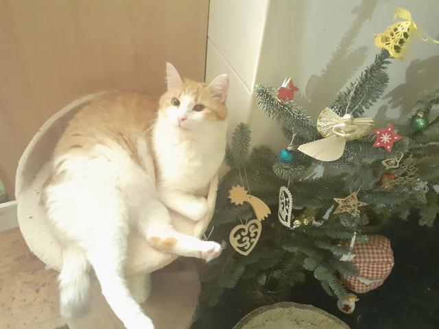 Vesel� v�no�n� dny pro�it� v klidu a pohod� v�m v�em p�ejeme.