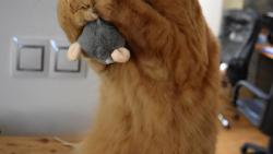 1/2 My���ku m�j milovanej, jsi jen m�j.