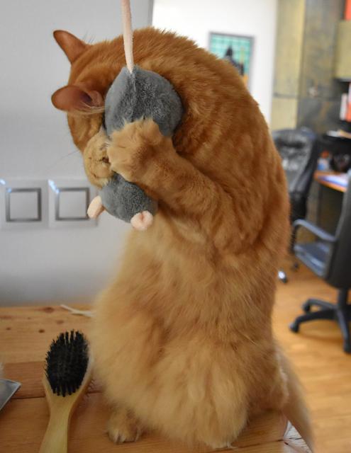 2/2 Je�t� se s tebou po��dn� pomazl�m, pak t� dob�e schov�m pod sk���. Neboj, tam t� nikdo nenajde.