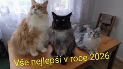 V�e nej v roce 2026 p�ej� Jumb�k, Neville, Bady a jejich dvounoh�
