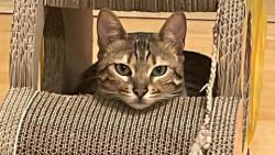 Zkušená řidička 🚐