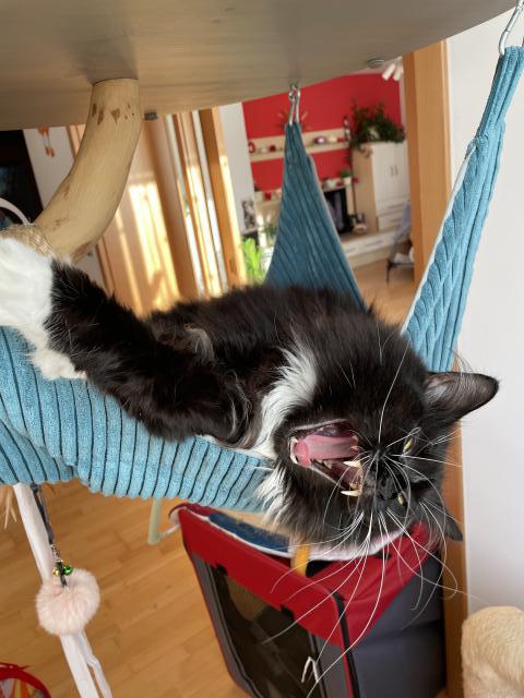 Jojo, doma je te� nejl�p 😊