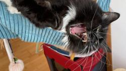 Jojo, doma je teď nejlíp 😊