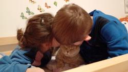 Pche! Nikdo je neum� l�pe uspat, jako j�! Bor�! Trhni si �ed�m chlupem , ba�koro namy�len� 😂