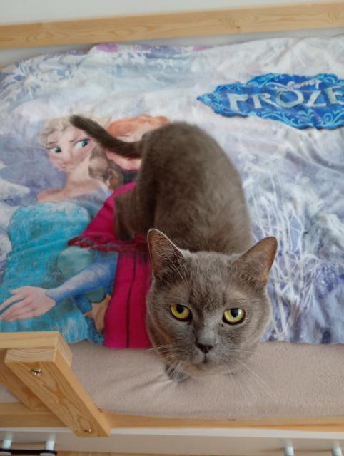 Elvi�e nic neve�te! Je to vlezdoprdelka! Uspavam sebe ka�d� den a sama 😆