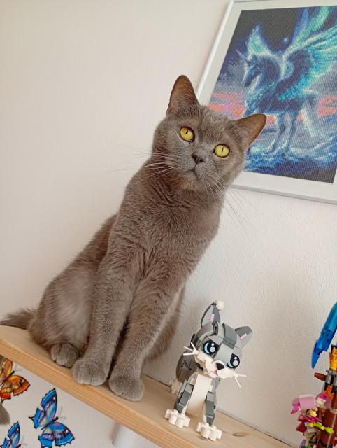 Jsem kr�sn�j��!