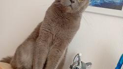 Jsem kr�sn�j��!