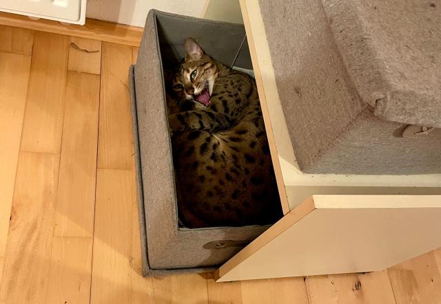 My m�me m�lo pel�k�, tak mus�m sp�t v krabici :-))))))))))))