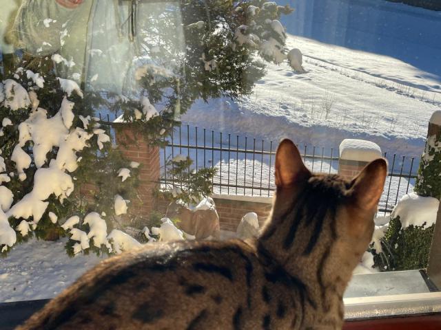 J���, tam je sn�hu!!! Ale taky tam po��dn� mrzne!