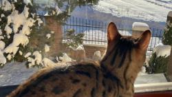 J���, tam je sn�hu!!! Ale taky tam po��dn� mrzne!