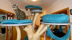 Copak jste dnes dělali? My jsme celý den lenošili 🙂