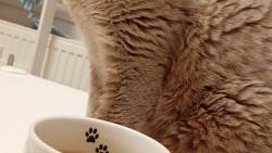 A tu �leha�ku m�m kde?