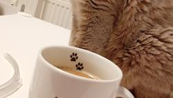 Tak �up do lednice a velk� kopec jasn�! 😂