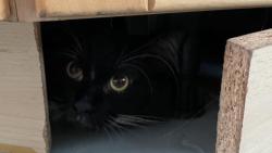 Pod linku lezu moc r�d 😌