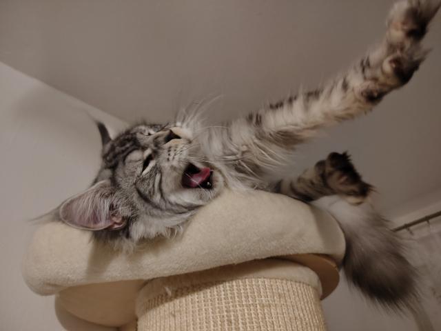 Co m� bud�, j� chci sp�t!