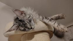 Sp�m a nic m� nevzbud�