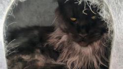 To je m�j bejv�k!