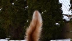 To je asi m�j posledn� sn�h, n�jak rychle to taje.