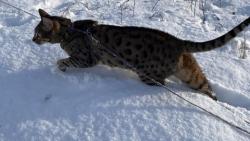 Opatrn�, abych nezapadla😹