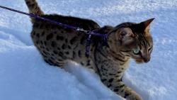 ❄❄❄ tedy napadlo docela dost