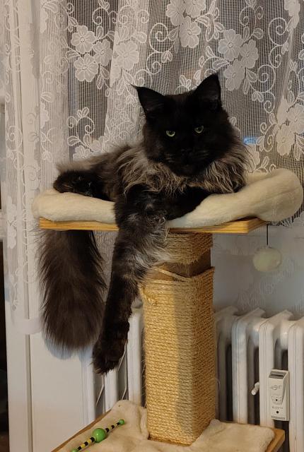 Tak ��m m� zabav�?