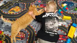 No aspoň že hladíš, když mi zabíráš koberec.