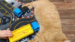 Tak si s tebou teda pohraju, no.