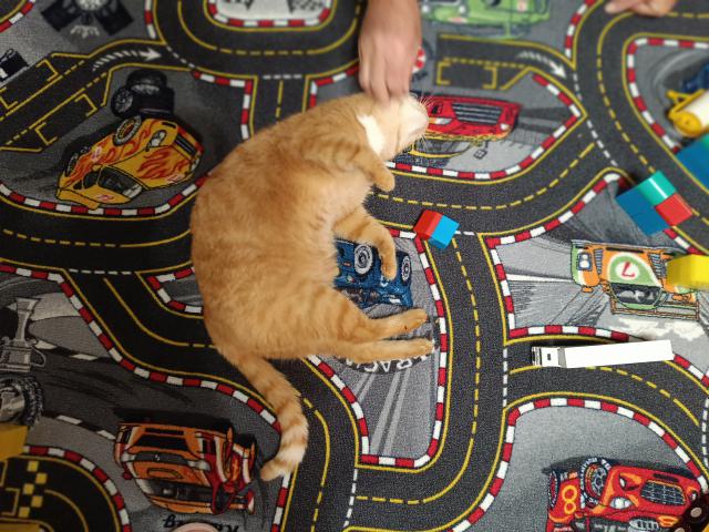 Jsem z toho �pln� ztahan�, u� si nehraju, aspo� drbej.