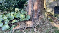 Hmm, pt��ci 🐦⬛🐦⬛🐦⬛