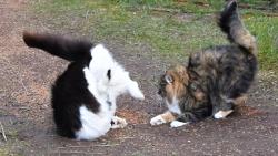 5/5 Hm, takhle jsem si to nep�edstavovala...