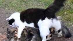 3/5 Po��dn� si t� osedl�m.