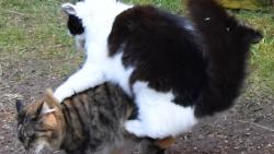 2/5 Zuzano, budu na tob� rajtovat.