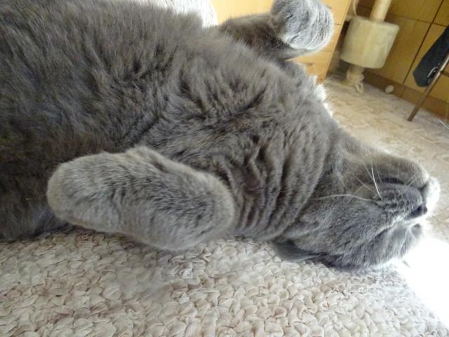 Jsem p�ipraven, m��e� za��t �esat.