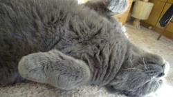 Jsem p�ipraven, m��e� za��t �esat.