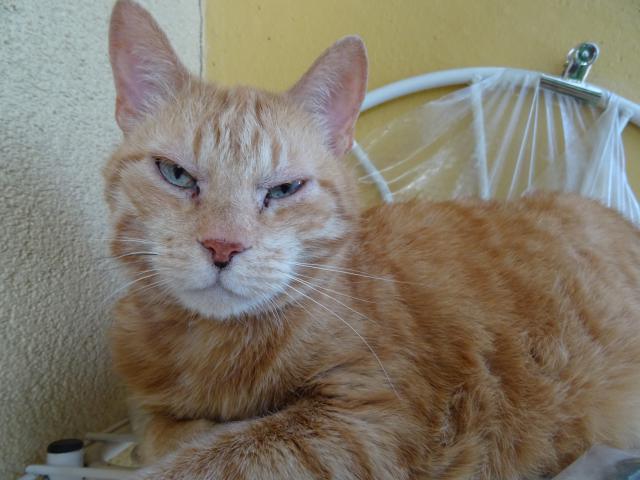 Pr�v� jsem se vzbudil.