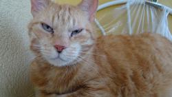 Pr�v� jsem se vzbudil.