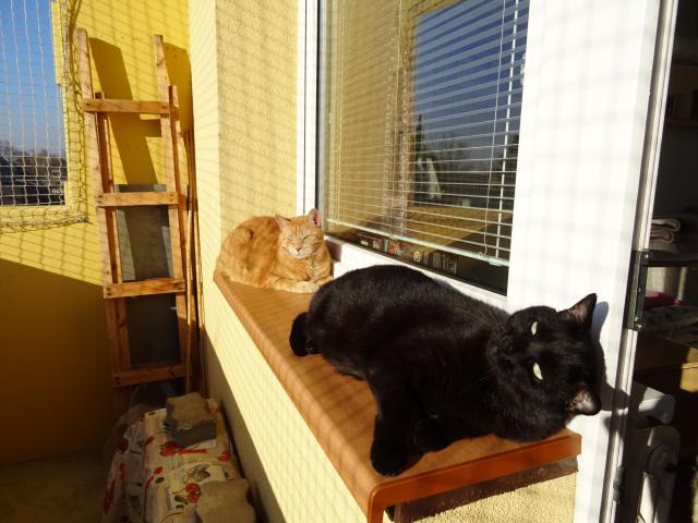 Hur�, jaro je tady.