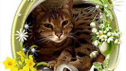 Krásné jaro přeji 😘