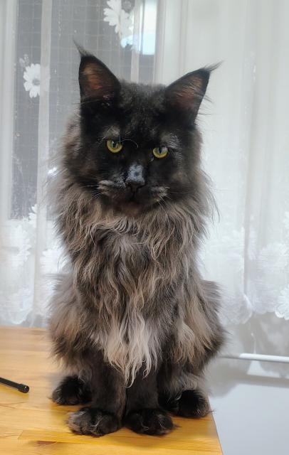 M�m narozeniny, dnes je mi p�esn� jeden rok 🥳🥳