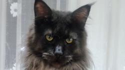 M�m narozeniny, dnes je mi p�esn� jeden rok 🥳🥳