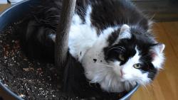 Prej se dneska nem�m s��kovat do postele, ale j� v�bec netu��m pro�...