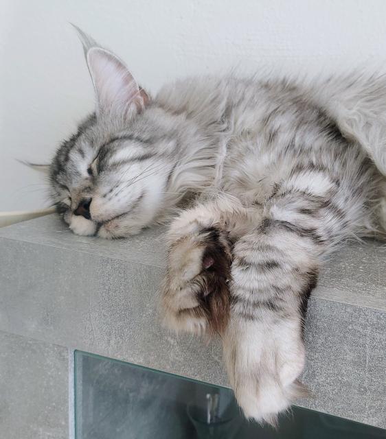 Jsem mazel nejv�t��, he�!