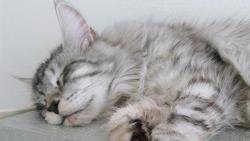 Jsem mazel nejv�t��, he�!