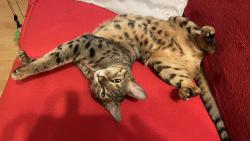 To j� u� jsem umyt� a te� bych cht�la podrbat😹