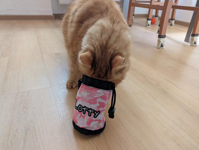 1/4 Copak to tady m�me? Lottyn�iny pamlsky!