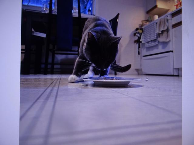 Nugget : poda�ilo se, vyloudil jsem mas��ko.