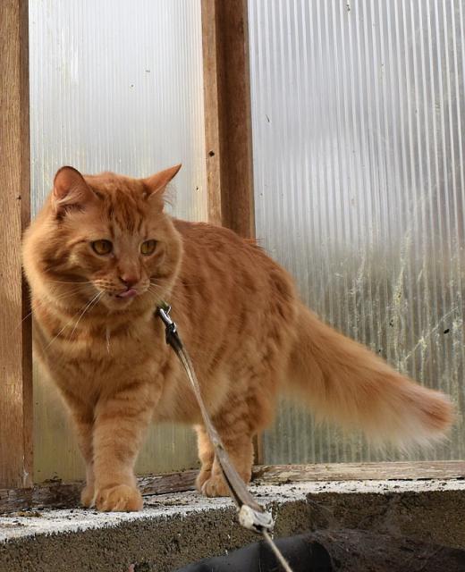 Renato, ten sklen��ek mus� je�t� po��dn� umejt. Neboj, j� na tebe dohl�dnu.